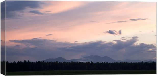 Brnik with Kamnik Alps in the background Canvas Print by Ian Middleton
