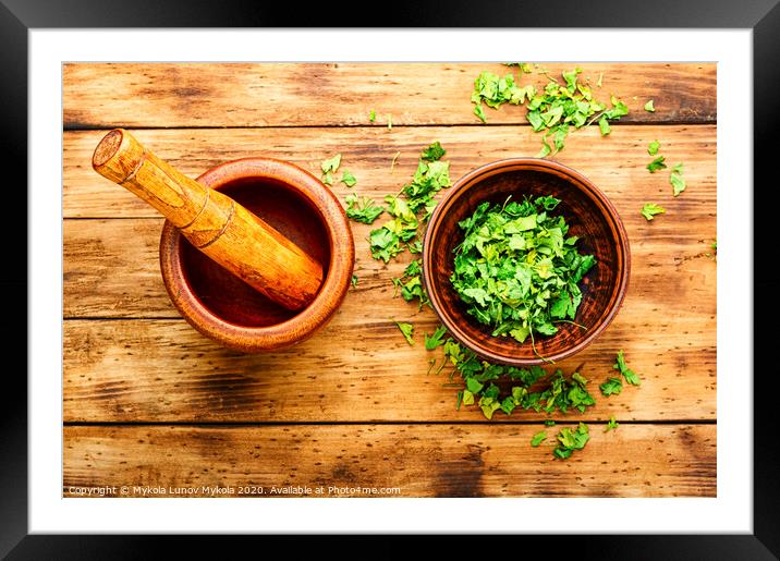 Dried parsley spice Framed Mounted Print by Mykola Lunov Mykola