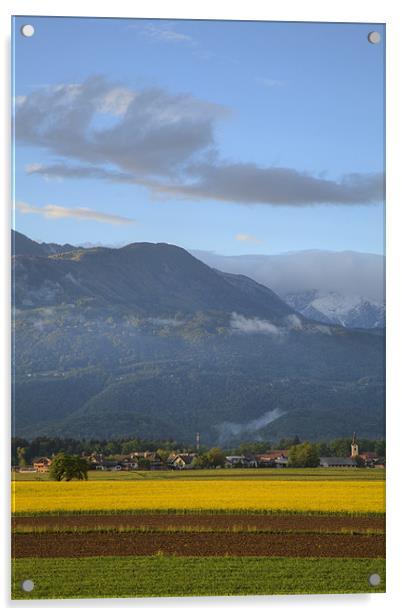 rapeseed field in Brnik with Kamnik Alps in the ba Acrylic by Ian Middleton