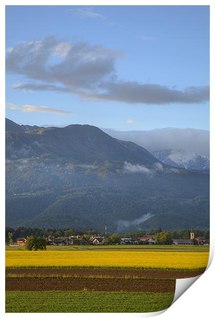 rapeseed field in Brnik with Kamnik Alps in the ba Print by Ian Middleton