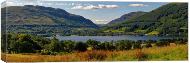 Panoramic Image of Lochearn and Lochearnhead, Stirlingshire, Scotland Canvas Print by Navin Mistry