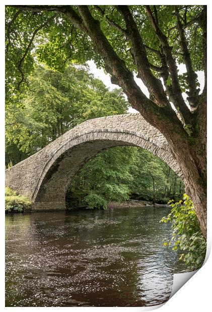 Ivelet Bridge, Swaledale, North Yorkshire Print by Andrew Kearton