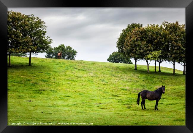 Two Horses, Derbyshire Framed Print by Martyn Williams