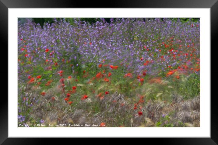 Wild flower abstract Framed Mounted Print by Richard Ashbee