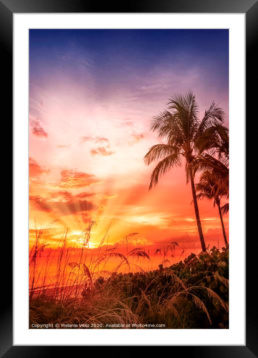 BONITA BEACH Picturesque Sunset Framed Mounted Print by Melanie Viola