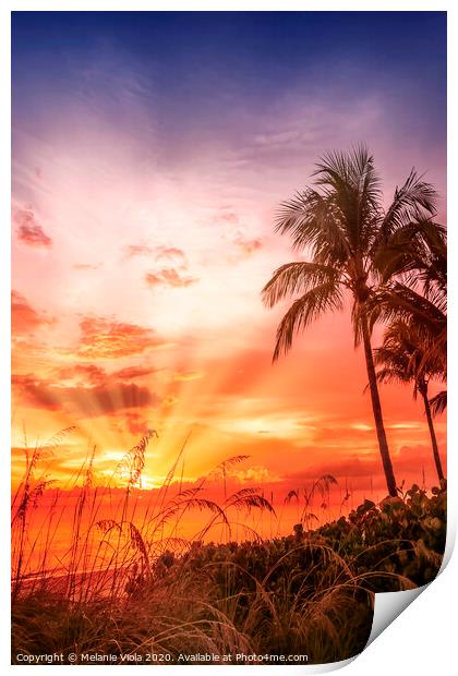 BONITA BEACH Picturesque Sunset Print by Melanie Viola