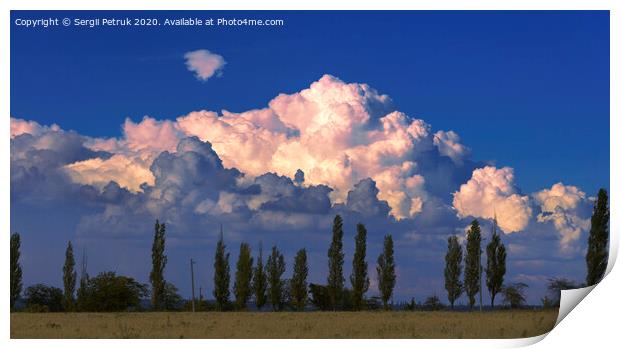 A large beautiful cloud in the sunset rays of sunlight hung over slender poplars Print by Sergii Petruk