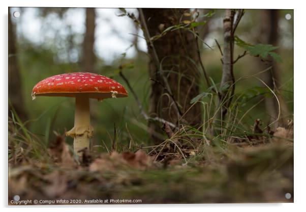 Amanita muscaria mushroom in the forest Acrylic by Chris Willemsen