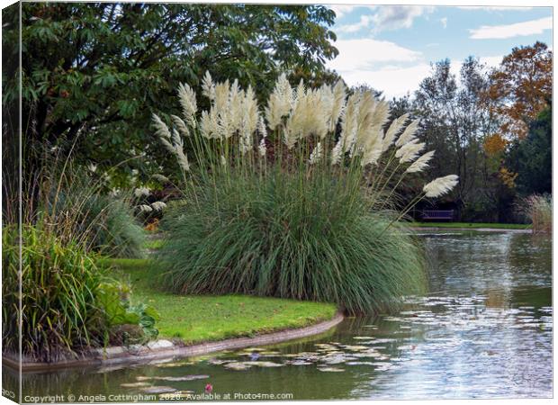 Pampas Grass by the Lake Canvas Print by Angela Cottingham