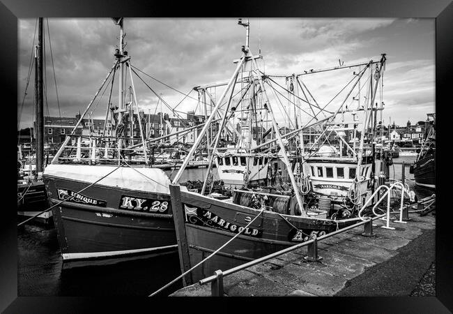 Ubique and Marigold, Arbroath Harbour Framed Print by David Jeffery