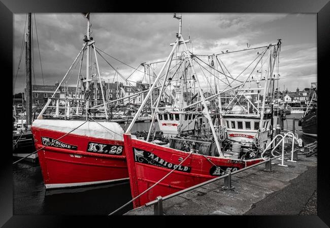 Ubique and Marigold, Arbroath Harbour (2) Framed Print by David Jeffery