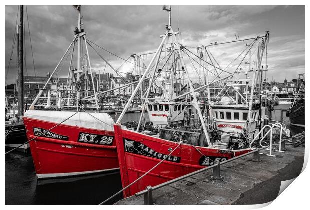 Ubique and Marigold, Arbroath Harbour (2) Print by David Jeffery