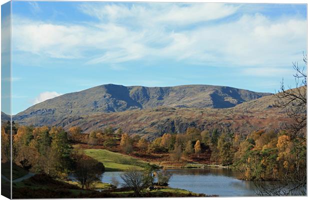 Tarn Hows looking at Wetherlam Canvas Print by Catherine Fowler