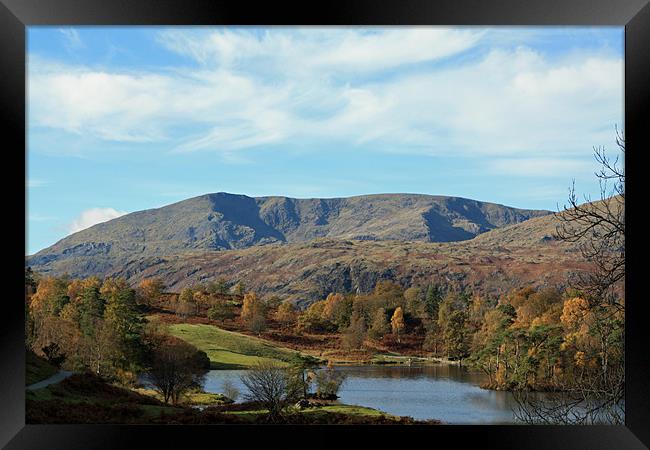 Tarn Hows looking at Wetherlam Framed Print by Catherine Fowler