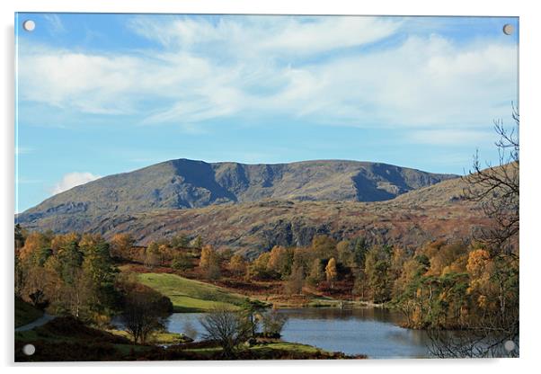 Tarn Hows looking at Wetherlam Acrylic by Catherine Fowler