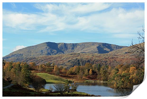 Tarn Hows looking at Wetherlam Print by Catherine Fowler
