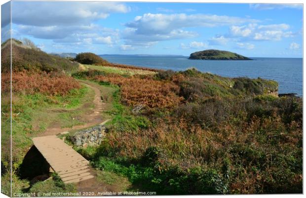 Looe Island From The South West Coast Path. Canvas Print by Neil Mottershead