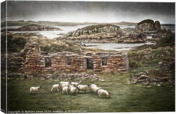 Blackhouse Ruin Kintra Isle of Mull   Canvas Print by Barbara Jones