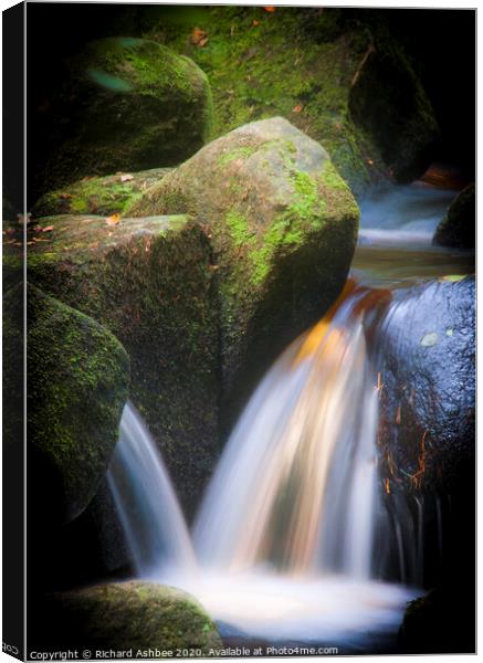 Silky waters of Padley Gorge, Derbyshire Canvas Print by Richard Ashbee