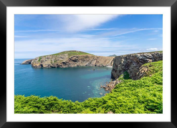 Ramsey Island Walkabout Framed Mounted Print by Chris Yaxley