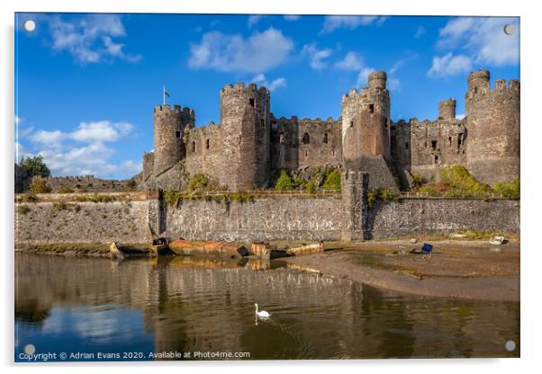 Conwy Castle Swan Wales  Acrylic by Adrian Evans
