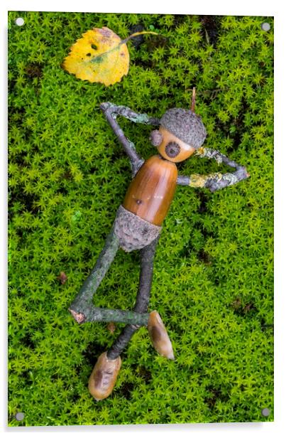 Lazy Little Acorn Man Acrylic by Arterra 
