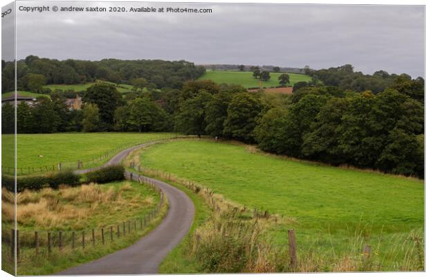 TREE LINED Canvas Print by andrew saxton