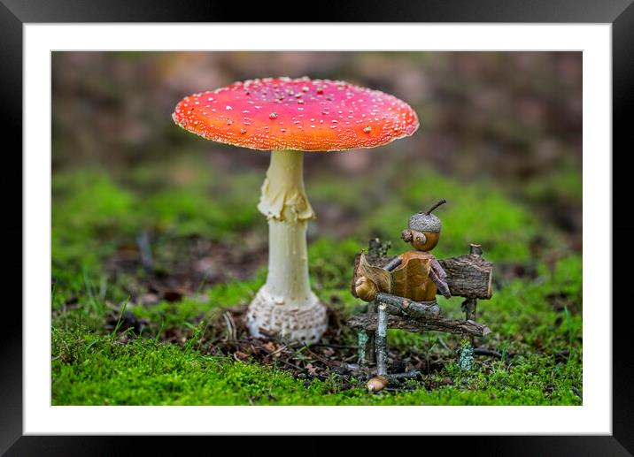 Little Acorn Man under Mushroom Framed Mounted Print by Arterra 
