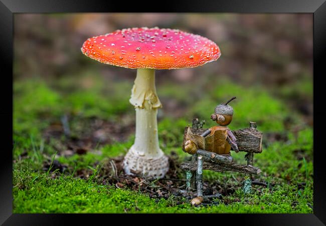 Little Acorn Man under Mushroom Framed Print by Arterra 