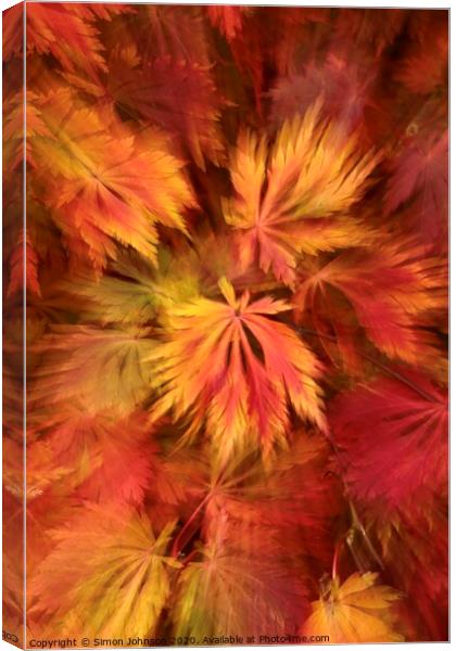 Autumn leaf colour Canvas Print by Simon Johnson