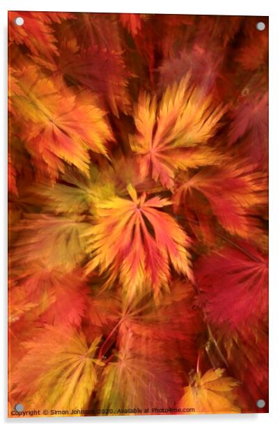 Autumn leaf colour Acrylic by Simon Johnson