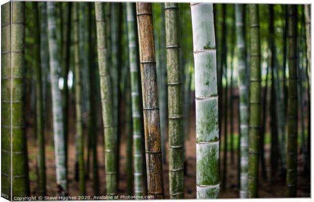 Bamboo forest in Japan Canvas Print by Steve Hughes
