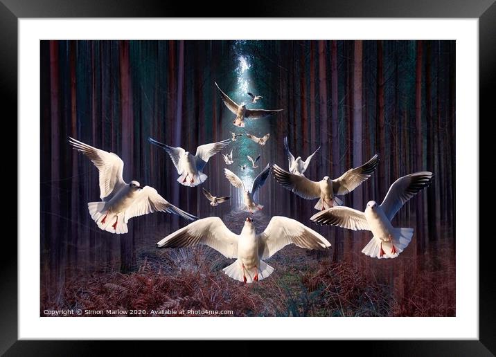 Gulls in the dark forest Framed Mounted Print by Simon Marlow