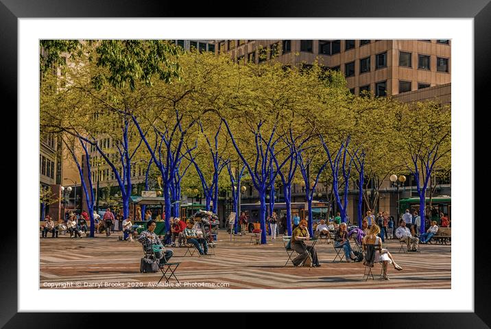 Seattle Park with Blue Trees    Framed Mounted Print by Darryl Brooks