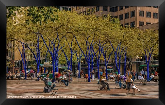Seattle Park with Blue Trees    Framed Print by Darryl Brooks