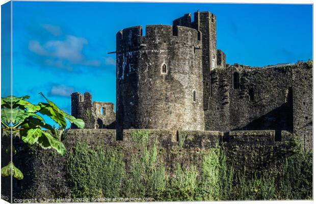 Medieval Castle  Canvas Print by Jane Metters