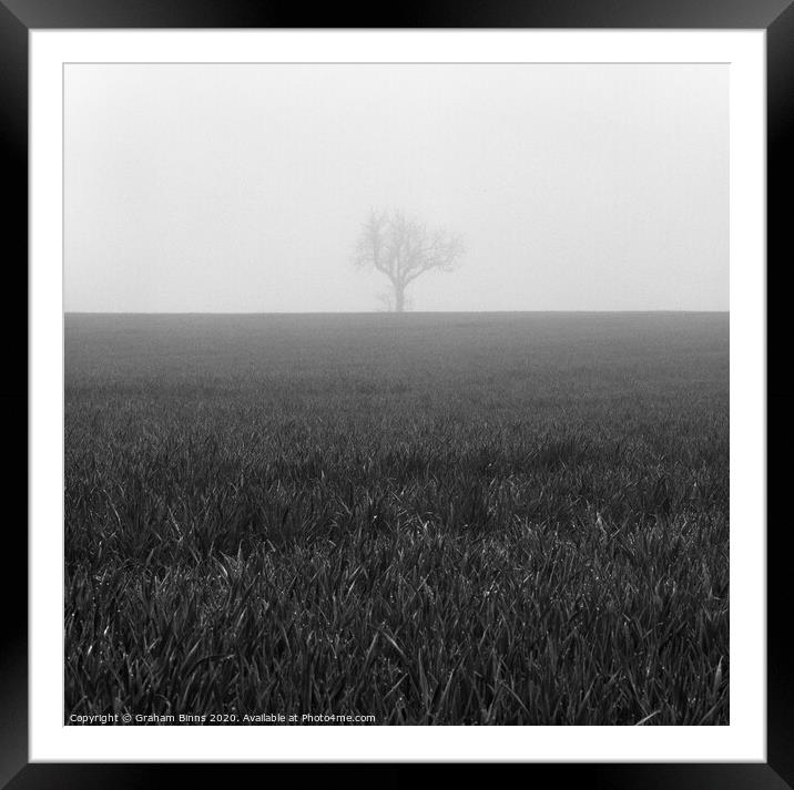 Nearly Home. Lone Foggy Tree. Cleckheaton Framed Mounted Print by Graham Binns