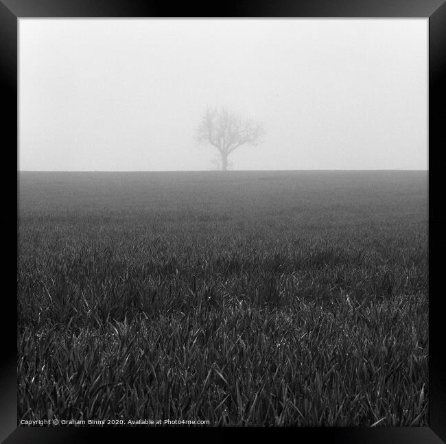 Nearly Home. Lone Foggy Tree. Cleckheaton Framed Print by Graham Binns