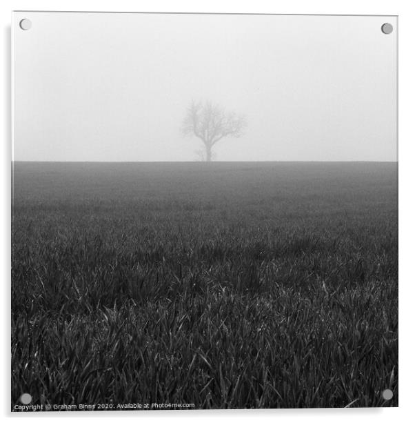Nearly Home. Lone Foggy Tree. Cleckheaton Acrylic by Graham Binns