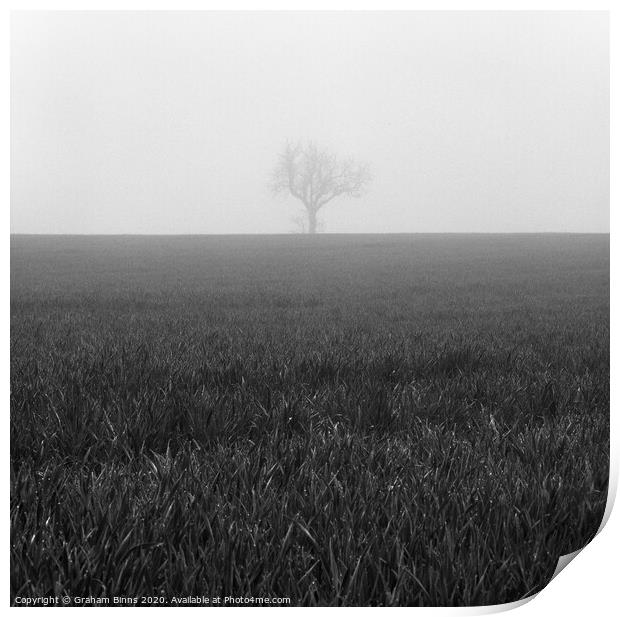 Nearly Home. Lone Foggy Tree. Cleckheaton Print by Graham Binns