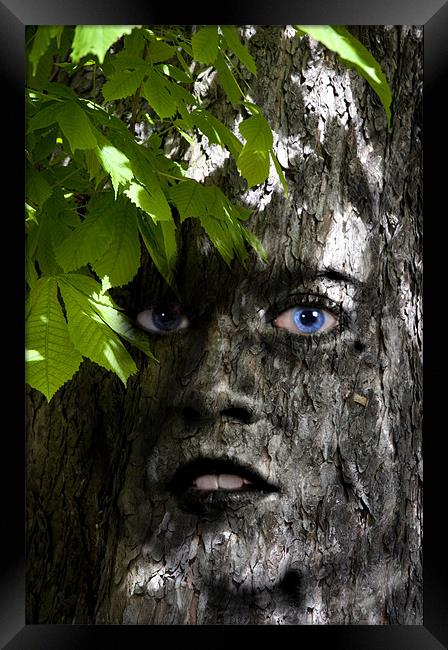 Tree woman Framed Print by Nathan Wright