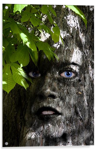 Tree woman Acrylic by Nathan Wright
