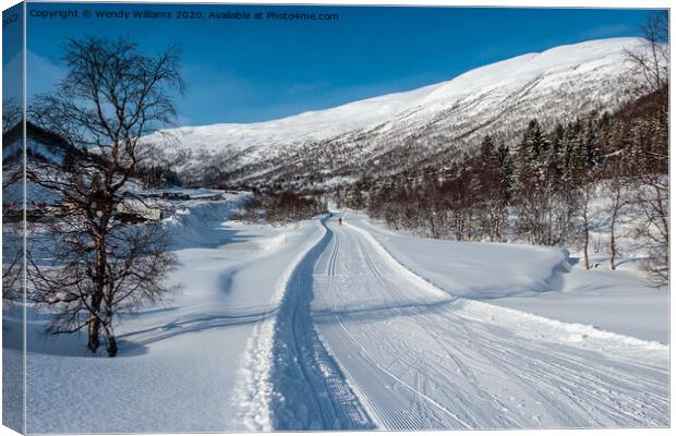 Cross-Country Skiing, Norway  Canvas Print by Wendy Williams CPAGB