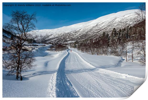 Cross-Country Skiing, Norway  Print by Wendy Williams CPAGB