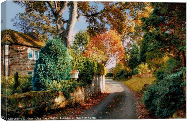 Autumn Lane in Yorkshire  Canvas Print by Alison Chambers