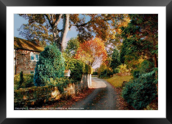 Autumn Lane in Yorkshire  Framed Mounted Print by Alison Chambers