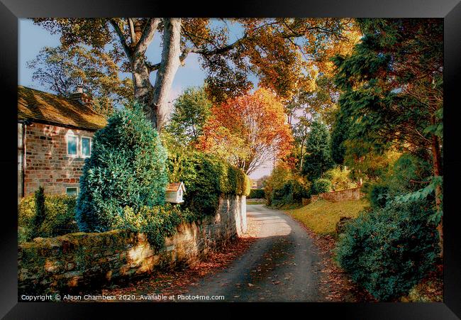 Autumn Lane in Yorkshire  Framed Print by Alison Chambers