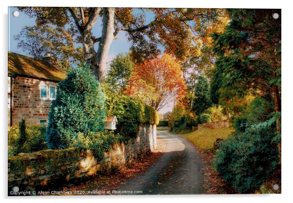 Autumn Lane in Yorkshire  Acrylic by Alison Chambers