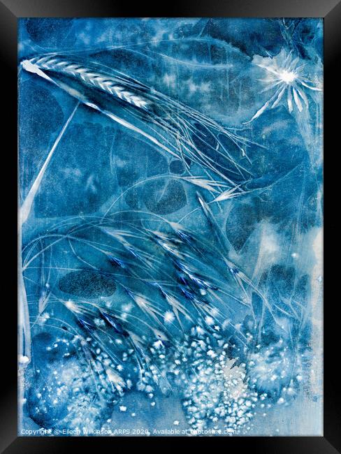 Fairy Blue Framed Print by Eileen Wilkinson ARPS EFIAP