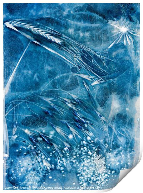 Fairy Blue Print by Eileen Wilkinson ARPS EFIAP